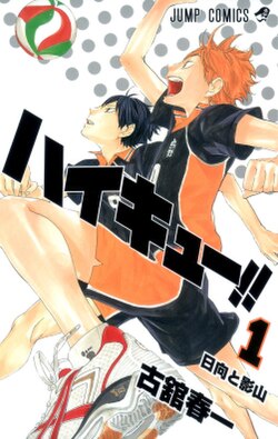 Haikyuu!! EN Cover Image