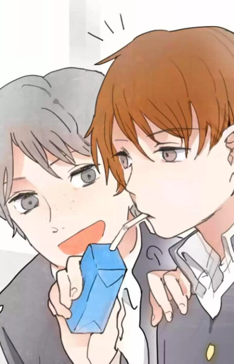 Star Flowers ES Cover Image